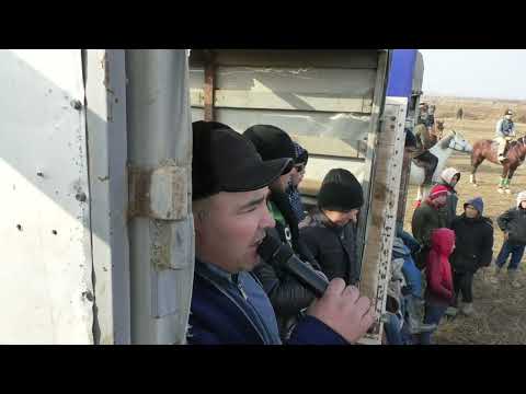 Видео: Тельман 90 жылғылар