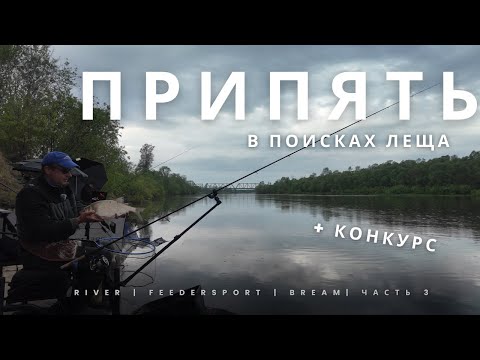 Видео: В поисках леща.  Река Припять часть 3. Конкурс.