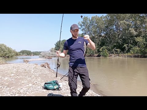 Видео: РЫБАЛКА НА КУБАНИ! УСАЧ И ГОЛАВЛЬ НА ДОНКУ.