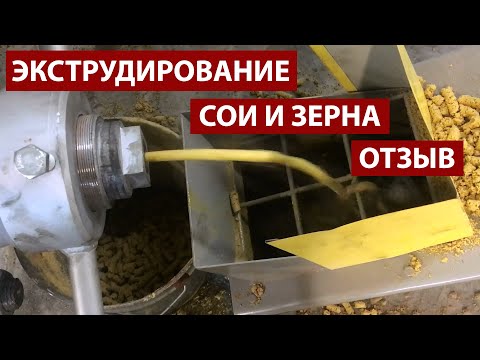 Видео: Экструдирование сои и зерновых: видео с производства. Компания Экспро М