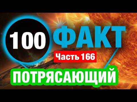 Видео: 100 Неповторимый Факт Который Сделает Вас Умнее