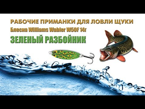 Видео: Ловля щуки на блесны Williams Wabler W50 необычных расцветок