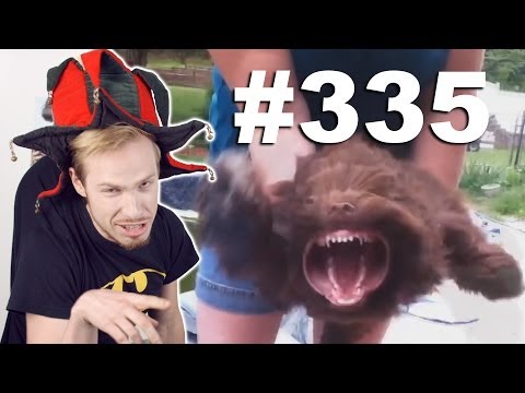 Видео: This is Хорошо - Лягушачьи лапки. U^U