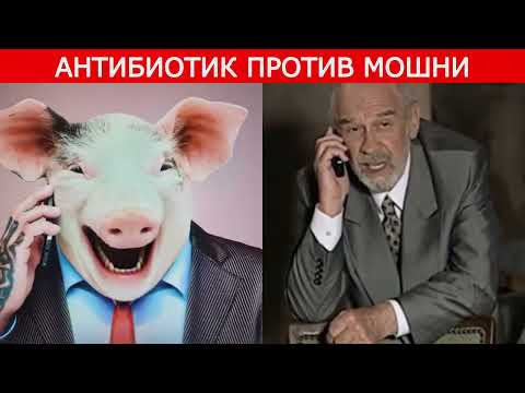 Видео: Провода
