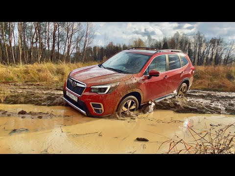 Видео: Обновлённый SUBARU FORESTER может то, что другим и не снилось  ! Проверили лично 🔥🔥🔥