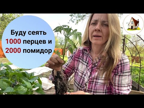 Видео: 1. Баклажаны подвели. Замочила семена перца. Рассада 2024.