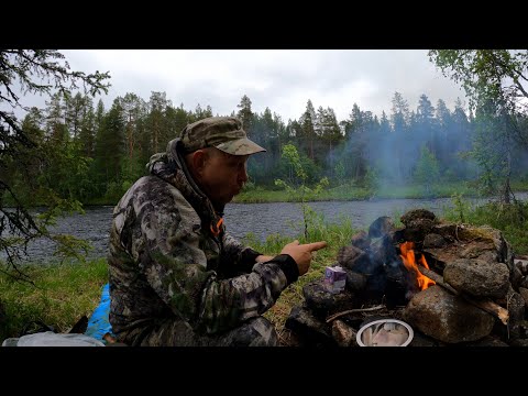 Видео: На таёжной речке. Жор рыбы, но не той,  и танец маленьких лебедей...