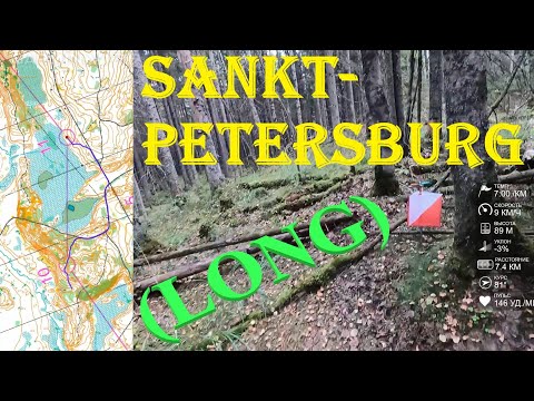 Видео: Спортивное ориентирование (headcam orienteering) - ЧиП Санкт-Петербурга на длинной дист. 14.09.25