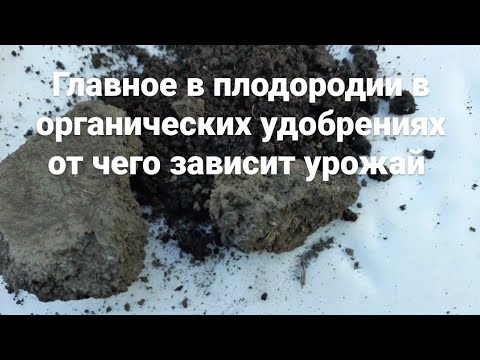 Видео: Плодородие почвы как сделать почву для огорода повысить Урожай урожайность