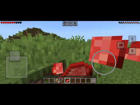 Видео: 29 октября 2025 г.