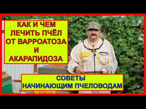 Видео: 🔴 Лечение пчёл от варроатоза и акарапидоза. Разговор по пчеловодству для начинающих о клеще Варроа 🔴