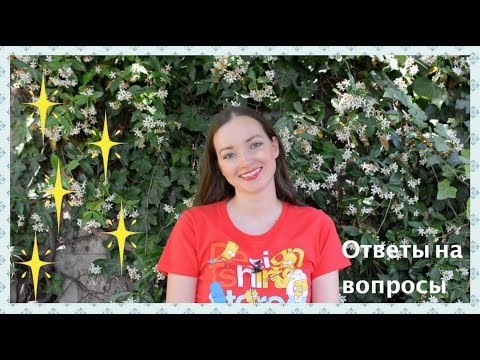 Видео: 130. Трата времени и вышивка, перевыпуск Дим, триязычие