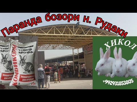 Видео: Паранда бозори н. Рудаки 17.08.2025 с