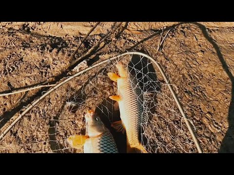 Видео: ИНСПЕКЦИЯ, ПУТЕВКА ВЕСЕНЯЯ  РЫБАЛКА, РЫБА просто ДУПЛЕТОМ на крючки, ЖОР. река ІЛЕ ҚАЗАҚСТАН