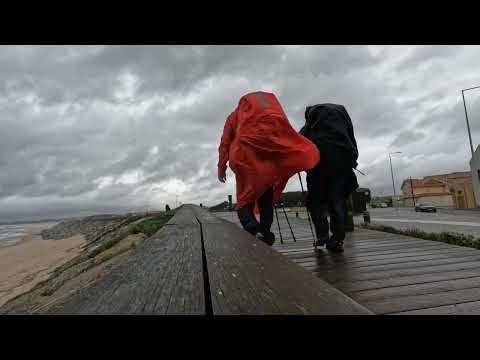 Видео: 2. Камино-де-Сантьяго - португальский путь Camino Portugués de la Costa