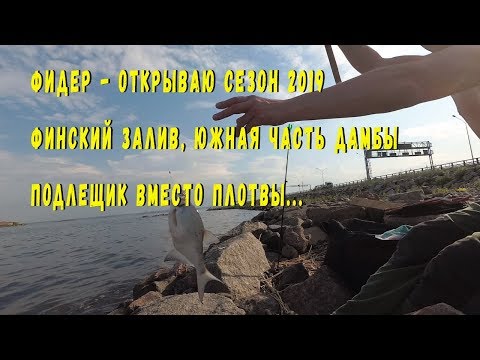 Видео: Фидер , Финский залив - южная часть дамбы