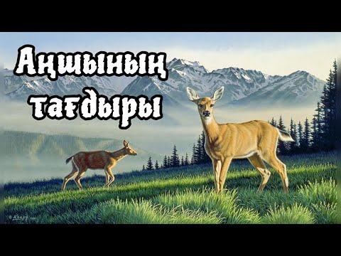 Видео: Әңгіме “Аңшының тағдыры” Ж. Башар