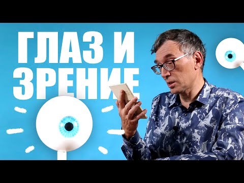 Видео: Глаз и зрение