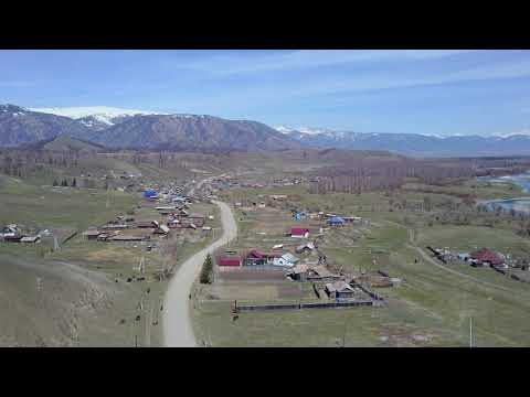 Видео: Березовка Огневка