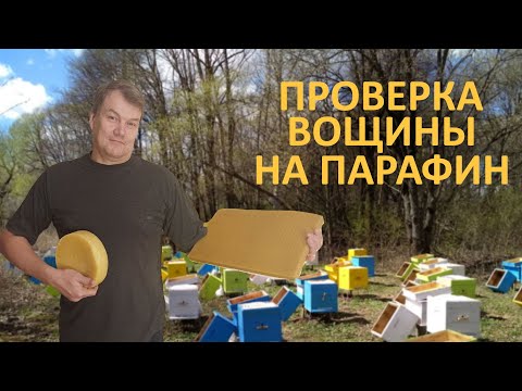 Видео: Проверка вощины на добавки парафина |Качество вощины #пчеловодство #воск