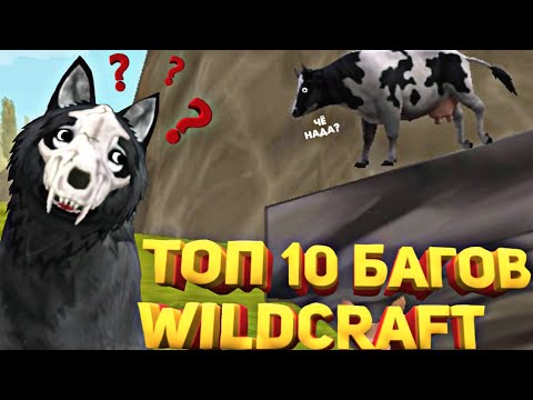 Видео: ТОП 10 БАГОВ ИЗ WildCraft, КОТОРЫЕ НЕ ИСПРАВИЛИ