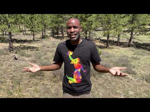 Видео: Нас больше не запугаешь и не заставишь жить «нормальной» жизнью!