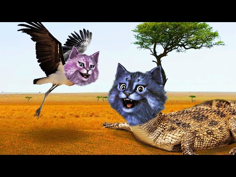 Видео: КРОКОДИЛ ЛЕО! / ДИКАЯ САВАННА в РОБЛОКС / Wild Savanna ROBLOX