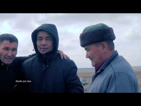 Видео: Қаракемер ауылы тұрғыны Нұрланның бата алу көкпары. Тараз