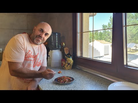 Видео: N°72.ИСПАНИЯ. баклажаны🍆🫑🍅 невероятно вкусно. любимый рецепт.так готовила моя мама.