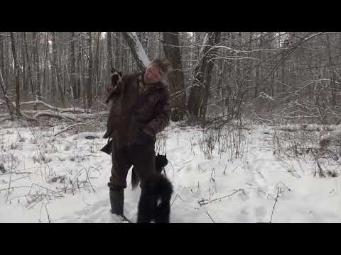 Видео: Охота на куницу. Оператору-Оскар, Илаю-опыт, Тинке-бутерброды, мне-коньяк!