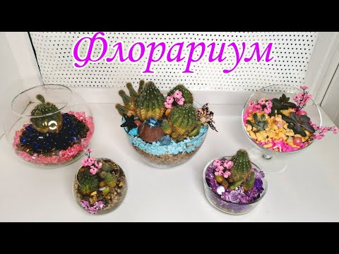 Видео: ФЛОРАРИУМЫ с кактусами и суккулентами в стеклянной посуде и с декоративными камнями из FIX PRICE