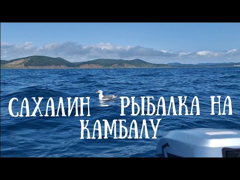 Видео: Сахалин - рыбалка на камбалу в заливе Анива Пригородное #сахалин #рыбалка #море #travel #природа