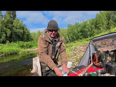 Видео: Медведь разнес избы. Ловля хариуса летом. Лодка ПВХ Фрегат 430 FM Light Jet. Мотор Parsun T 40 FWS