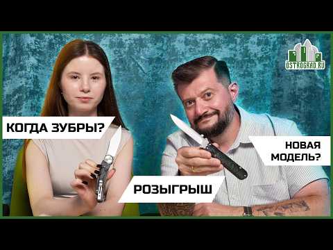 Видео: Ответы на самые популярные вопросы | Зубры, Лисичка, новые модели