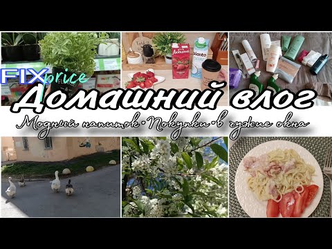 Видео: 🌿Простой, домашний, уютный влог🏡. Покупочки,болталки, быстрые рецепты🥰