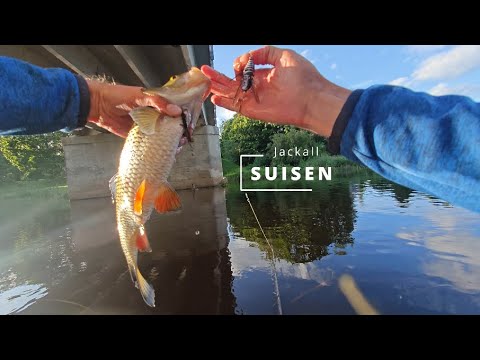 Видео: Новинка Jackall SUISEN. Как работает и есть ли рыба....???