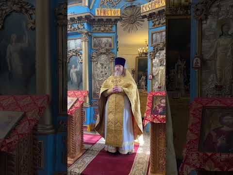 Видео: Проповедь. Апостол Фома