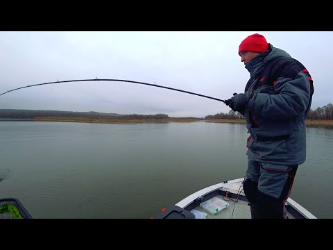 Видео: Вот это рыбалка! Еле затащили этого монстра в лодку! Рыбалка осенью на судака и щуку
