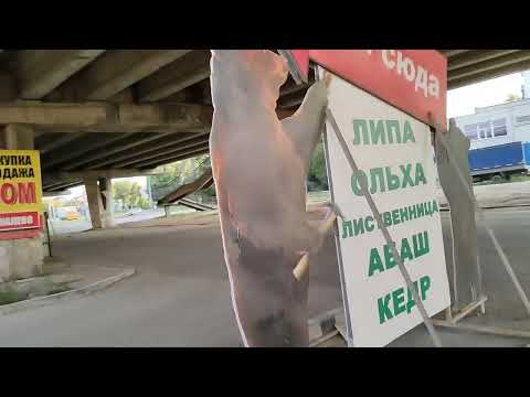 Видео: 2025-07-29 2/2 прогулка по Оренбургу