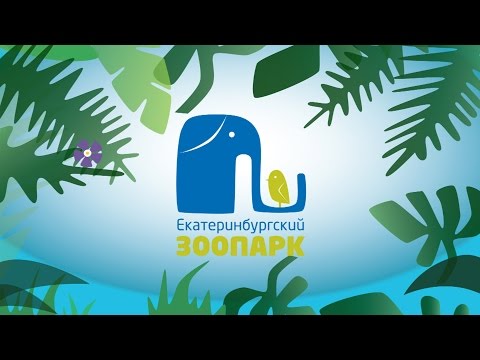 Видео: Фильм "Наш дом - наш зоопарк"