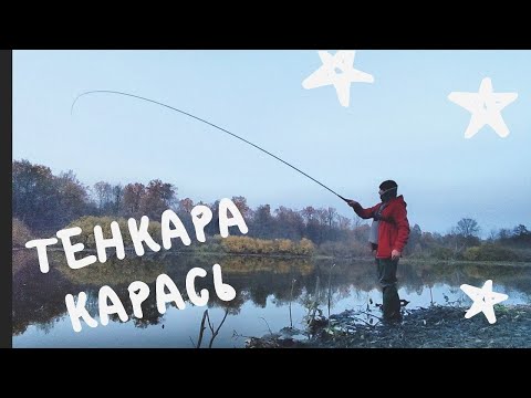 Видео: ТЕНКАРА x КАРАСИ ГНУТ УДИЛИЩЕ x ОСЕНЬ НА СЕКРЕТНОМ ОЗЕРЕ #70
