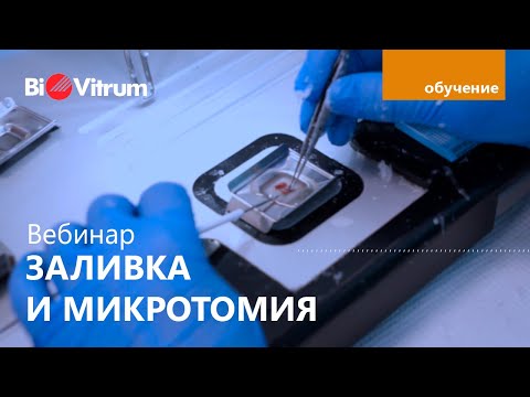 Видео: Заливка парафиновых блоков и микротомия