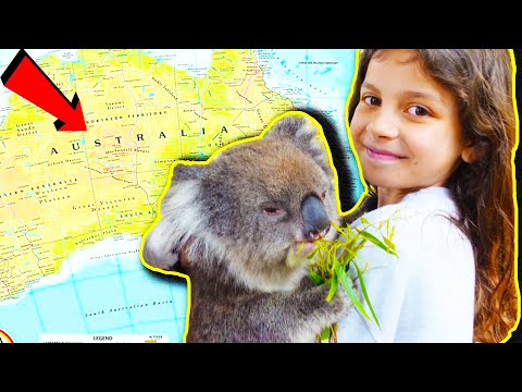 Видео: 68 ЧАСА В АВСТРАЛИЯ - КОАЛИ, КЕНГУРА И ЗИМА ПРЕЗ ЛЯТОТО