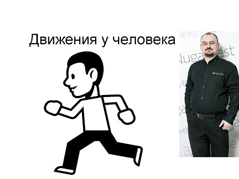 Видео: Движения – как осуществляются сокращения мышц. Пирамидная нервная система.