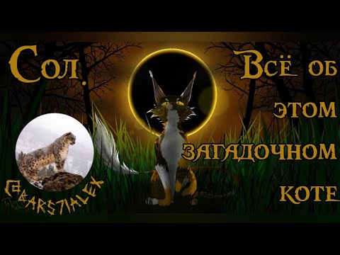 Видео: Коты-Воители. Сол: история загадочного бродяги.