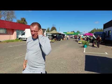 Видео: Осенняя прогулка 2024! 13ч. Родина! Рынок. Магазин Светофор. г.Осиповичи.