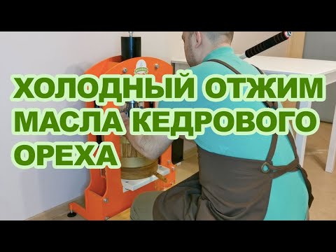 Видео: Холодный отжим масла кедрового ореха