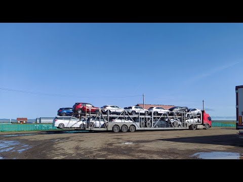 Видео: Автовозный рейс. https://t.me/volvolesovoz