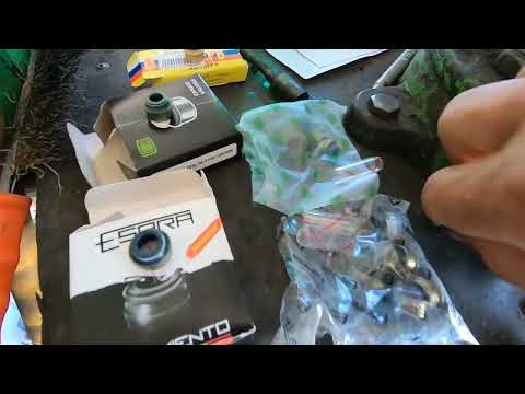 Видео: Установил разные  сальники клапанов змз 405