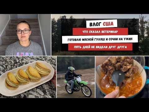 Видео: Что Сказал Ветеринар | Готовлю Мясной Гуляш и Сочни на Ужин |  Пять Дней не Видели Друг друга